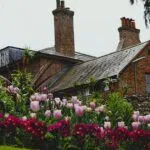 Cottage Garden Design: Tips for a Dreamy Space