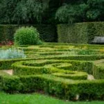 Garden Hedge Ideas for Every Style & Space