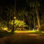 Garden Lighting Ideas to Transform Your Outdoor Space