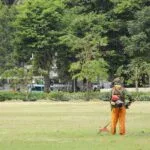 Lawn Care Tips for a Lush, Healthy Yard