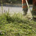 Lawn Scarifying Tips for a Healthier Turf