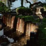 Minimalist Garden Design: Principles & Ideas