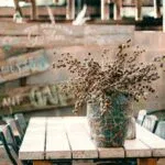 Modern Garden Design Ideas & Inspiration
