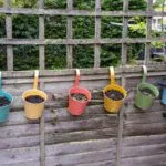 Side Garden Ideas to Transform Narrow Spaces